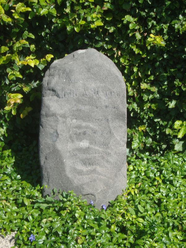 Adolf A. Meyer.JPG